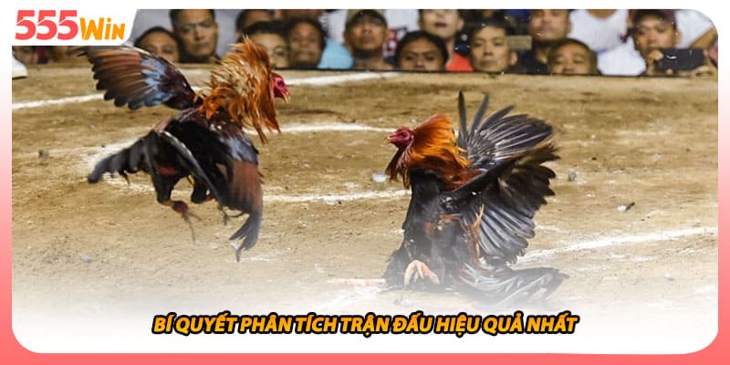 Bí quyết phân tích trận đấu hiệu quả nhất