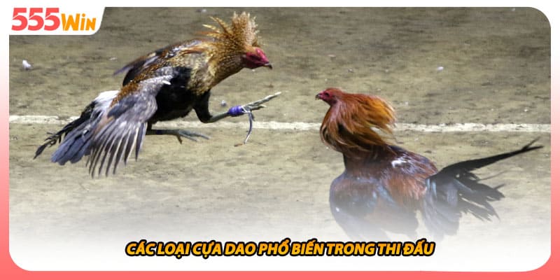 Các loại cựa dao phổ biến trong thi đấu