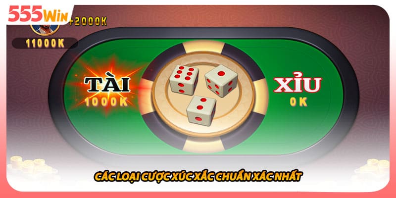 Các loại cược xúc xắc chuẩn xác nhất