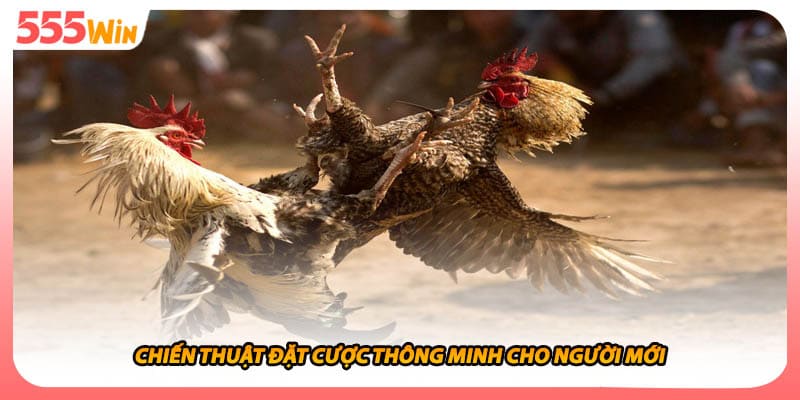 Chiến thuật đặt cược thông minh cho người mới