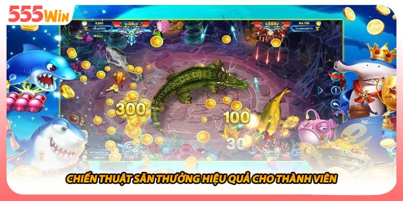 Chiến thuật săn thưởng hiệu quả cho thành viên
