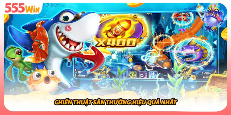 Chiến thuật săn thưởng hiệu quả nhất