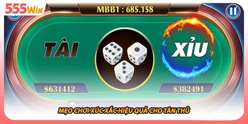 Mẹo chơi xúc xắc hiệu quả cho tân thủ