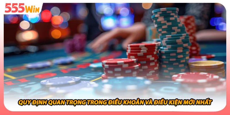 Quy định quan trọng trong điều khoản và điều kiện mới nhất